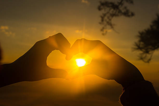 istock Sunrise at Phukradung National Park, Thailand 532171175