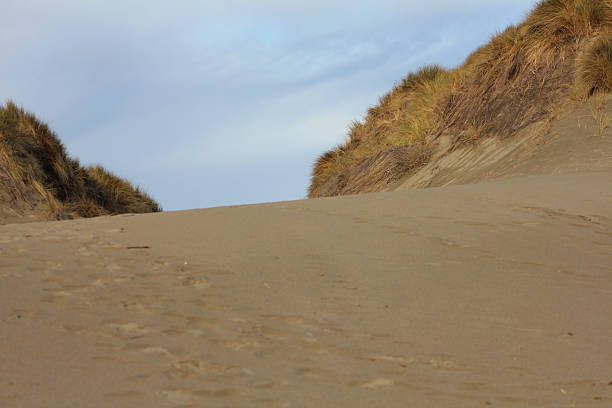 istock Sand Dunes in Tomales California 532171239