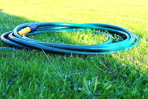 Hose for watering the lawn on his shaven