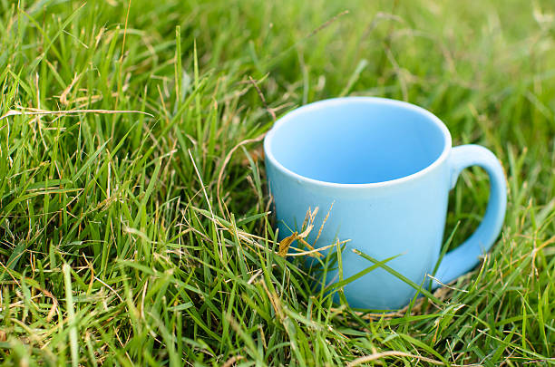 istock Blue mug on wooden board with green grass space. 532172101