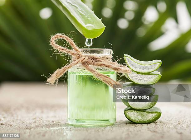 Aloe Vera Leaves Stock Photo - Download Image Now - Aloe Vera Plant, Aloe, Juice - Drink