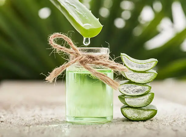 Aloe vera essential oil on tropical leaves background