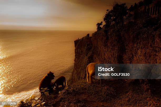 View Of A Cliff At Uluwatu Temple Bali Indonesia Stock Photo - Download Image Now - 2015, Ape, Asia