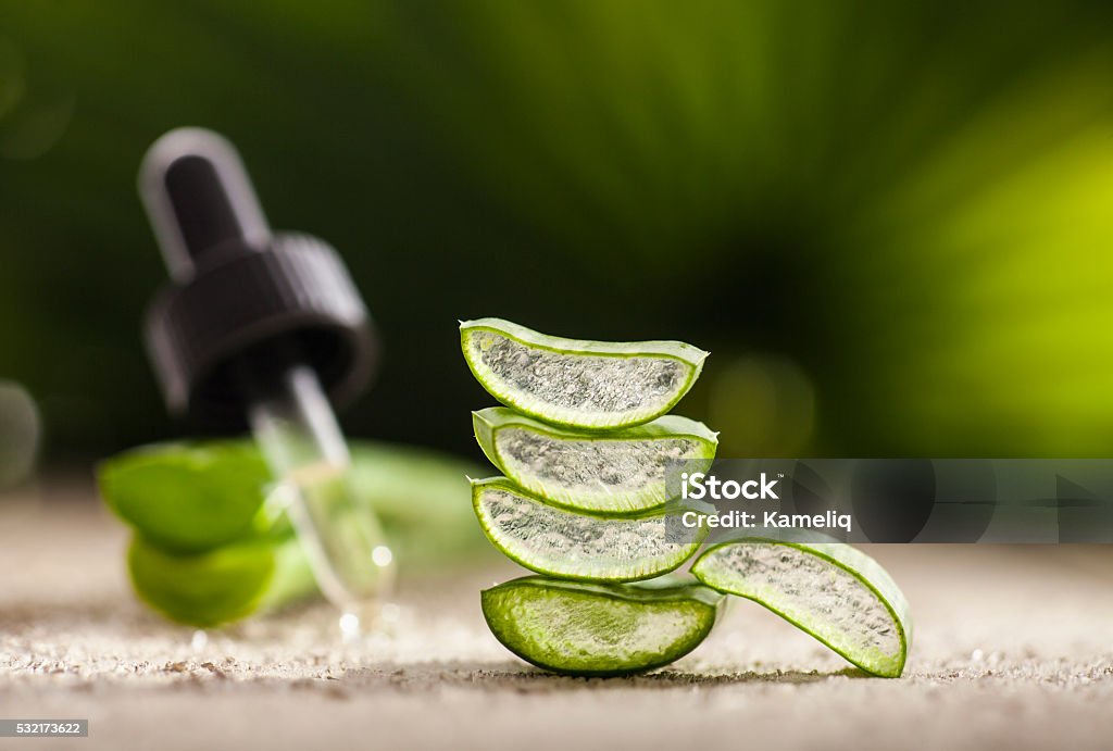 Aloe Vera Leaves Aloe vera essential oil on tropical leaves background Aloe Vera Gel Stock Photo