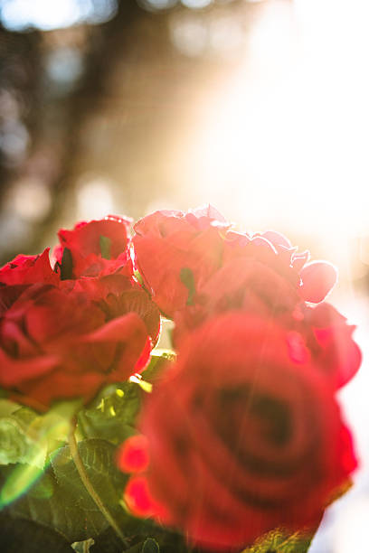 istock bouquet of roses for st. valentine 532173793