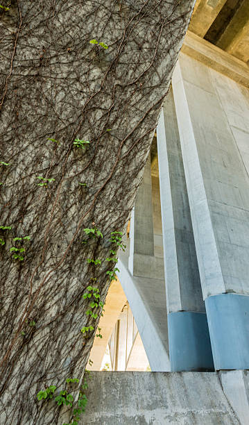 istock Concrete and Ivy, Bridge Detail 532175106