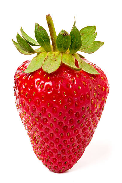 istock One strawberry isolated on white background close-up macro 532176542