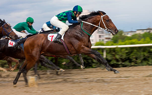 Horse racing  in Nalchik. Race for the prize of the "Derby" in Nalchik,Caucasus, Russia. jockey stock pictures, royalty-free photos & images