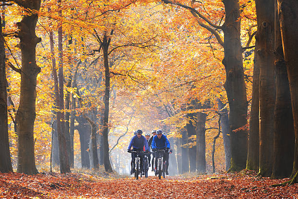 Amigos Ciclismo en el Bosque en otoño - foto de stock
