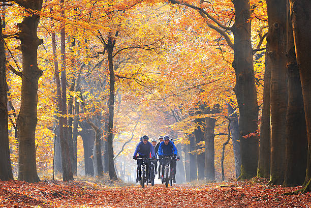 Amigos de bicicleta na floresta no outono - foto de acervo