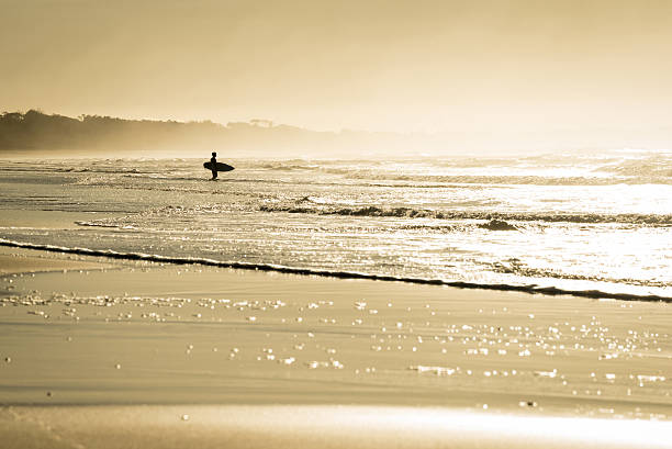 istock Summer surf concept with beach ocean landscape 532181962