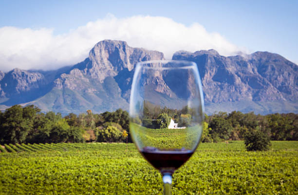 South African Wine Country Classic landscape of vineyard, estate house and mountains in the Western Cape, South Africa, with wine glass foreground.   stellenbosch stock pictures, royalty-free photos & images
