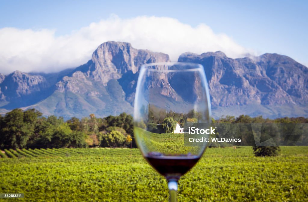 A região de vinhos da África do Sul - Foto de stock de República da África do Sul royalty-free