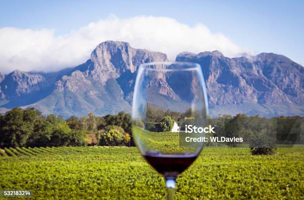 Foto de A Região De Vinhos Da África Do Sul e mais fotos de stock de República da África do Sul - República da África do Sul, Vinhedo, Stellenbosch