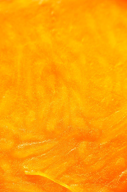 istock Abstract, textured, floral and orange background 532183878