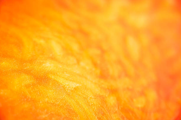 istock Abstract, textured, floral and orange background 532183958