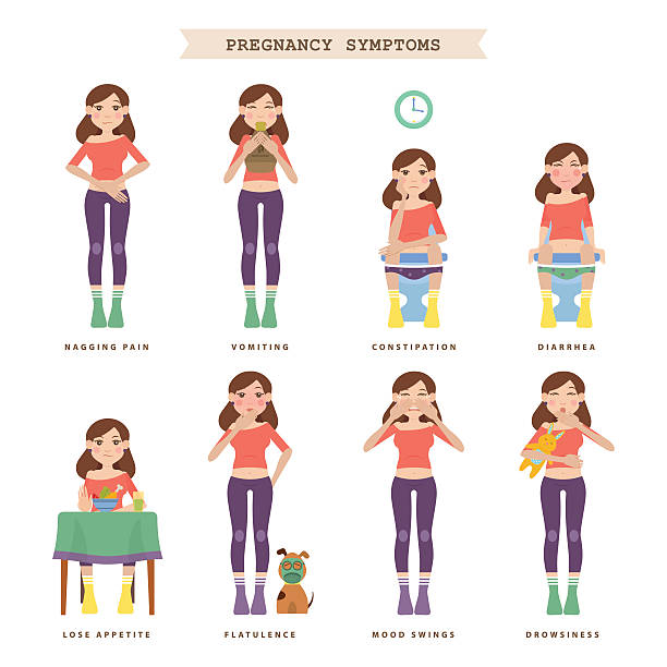 illustrations, cliparts, dessins animés et icônes de la grossesse symptômes. vecteur infographie. - gurgling