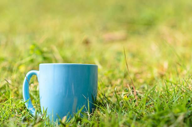 istock Green space with blue coffee mug outdoor. 532184783