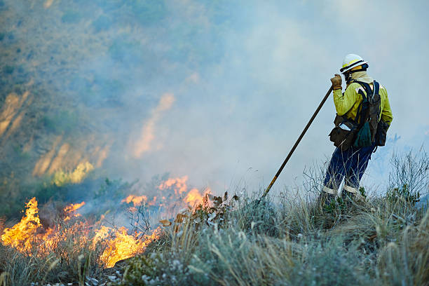 istock Fighting the good fight against fire 532185161