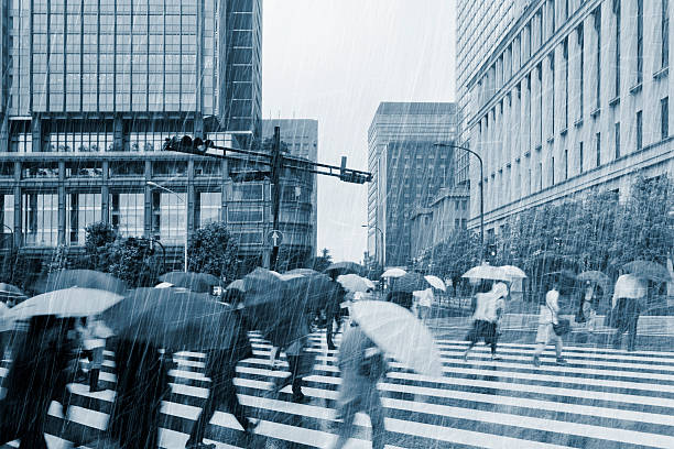 chuvoso trabalhadores na faixa para pedestres tóquio - umbrella parasol rain rush hour imagens e fotografias de stock