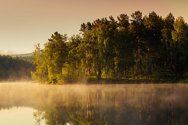 forest and mountains reflected in the lake. landscape at dawn