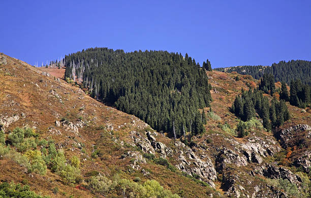 istock Issyk canyon. Kazakhstan 532186662