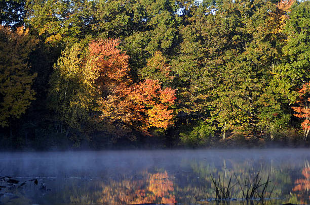 istock Fall Foliage with Fog on Still Pond 532186711