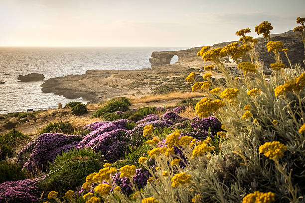 istock Azure Window, Dwejra Bay, Gozo, Malta 532188081