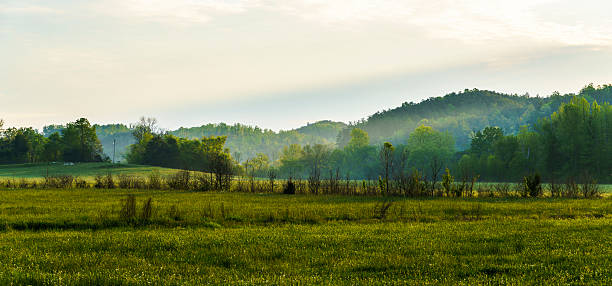 apacible mañana valle en las grandes montañas humeantes - landscape landscaped tennessee mist fotografías e imágenes de stock