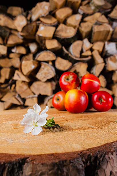 istock Few apples and flower on the stump 532188776