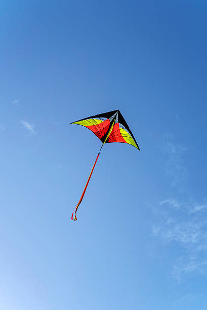 istock Colorful kite is flying in a blue sky 532189314