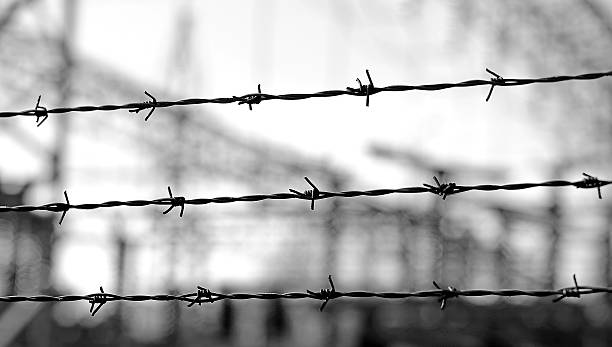 trois lignes de fil barbelé de demarcate la frontière - barbed wire photos photos et images de collection