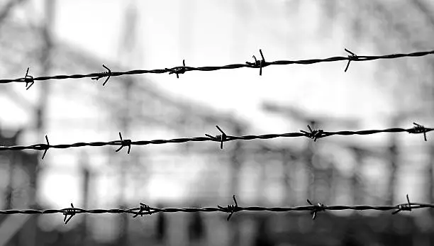 ancinet three lines of barbed wire to demarcate the border does not open