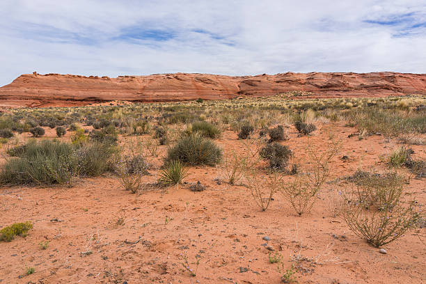 istock Desert near Lake Powell (Coconino County, Arizona) 532192475