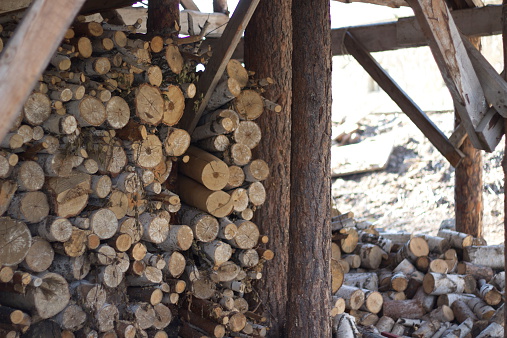 Firewood storage shed with rusty wheelbarrows