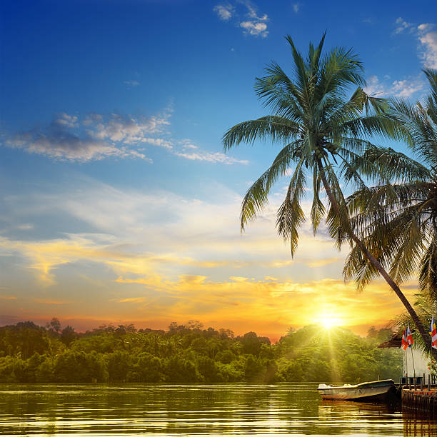 river, beautiful sunrise and tropical palms