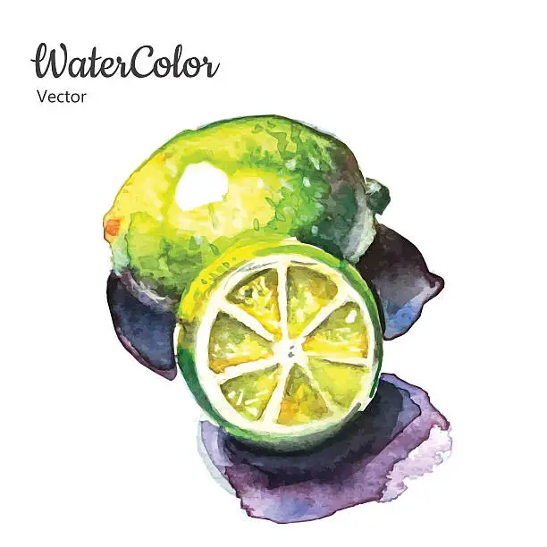 Vector illustration of Vector hand painting abstract watercolor lemon illustration