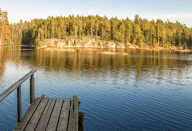 istock Wooden pier in the forest pond 532203885
