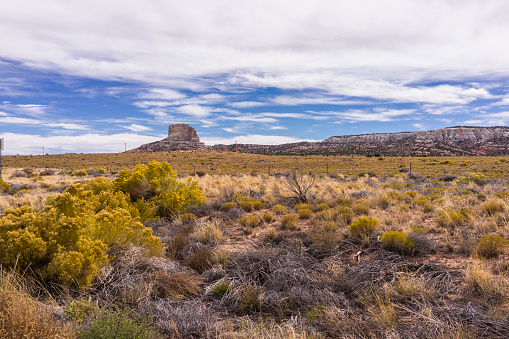 United States. Arizona. Coconino County. Sandstone cliffs and sagebrush along the U.S. Highway 89 between Page and Kaibito, through the Navajo Nation.