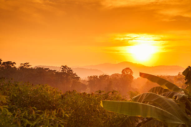 istock Beautiful Sunset in Thailand 532206055