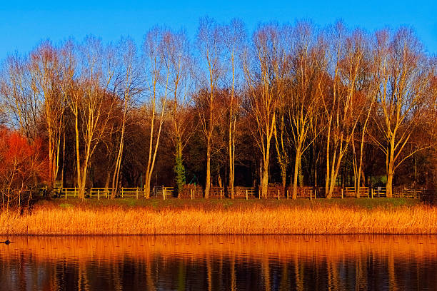 rivière avon - welford on avon photos et images de collection