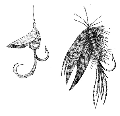 Antique illustration of fake insect bait