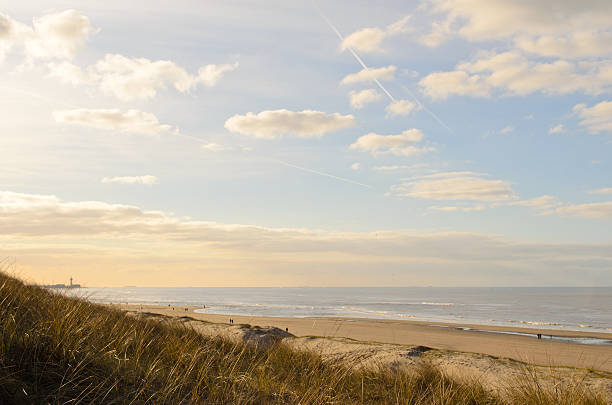 istock Summer evening at the coast 532220685