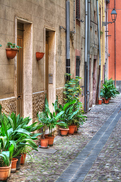 istock narrow backstreet in Bosa 532225031