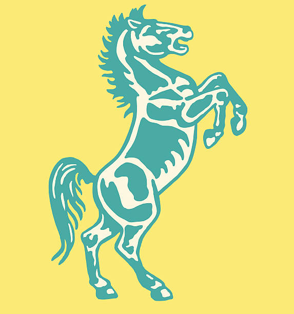 kuvapankkikuvitukset aiheesta hevosen kasvatus - rodeoratsastus