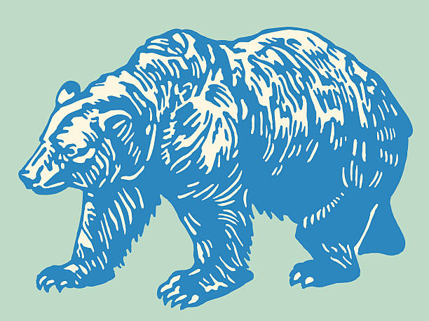 stockillustraties, clipart, cartoons en iconen met bear - beer