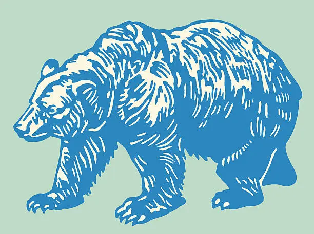 Vector illustration of Bear