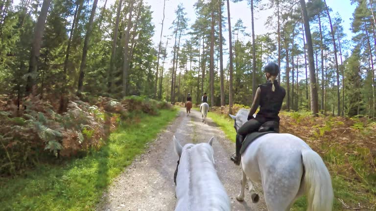 POV Horseback riding through the morning forest