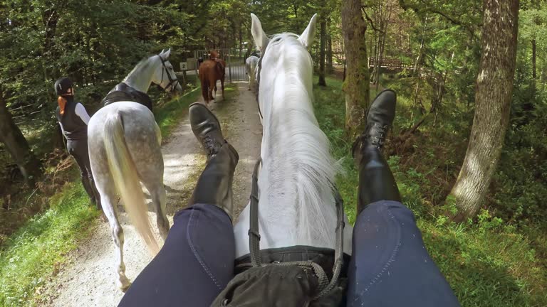 POV Rider stretching her legs on a horse