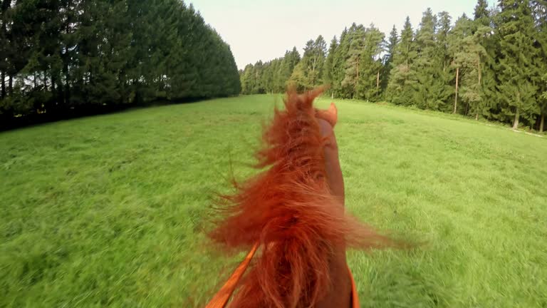 POV Rider riding a running horse across meadow